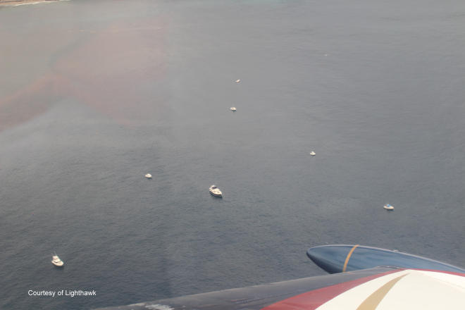 Flight over boat cluster