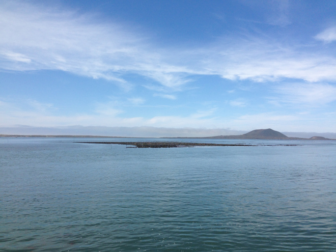 Part of the oyster facility at San Quintin.