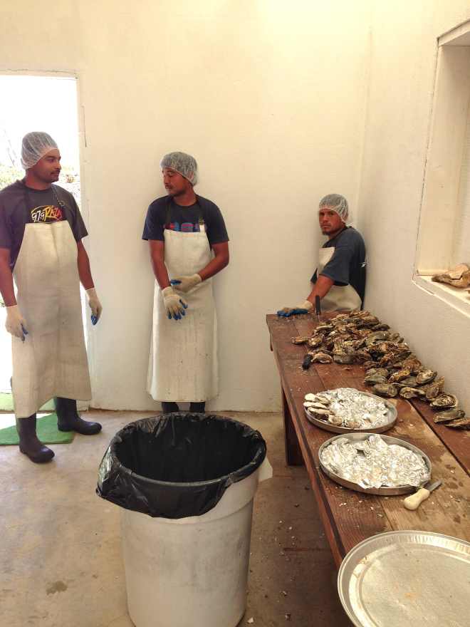 Oyster workers - this activity sustains more than 70 families in San Quintin.