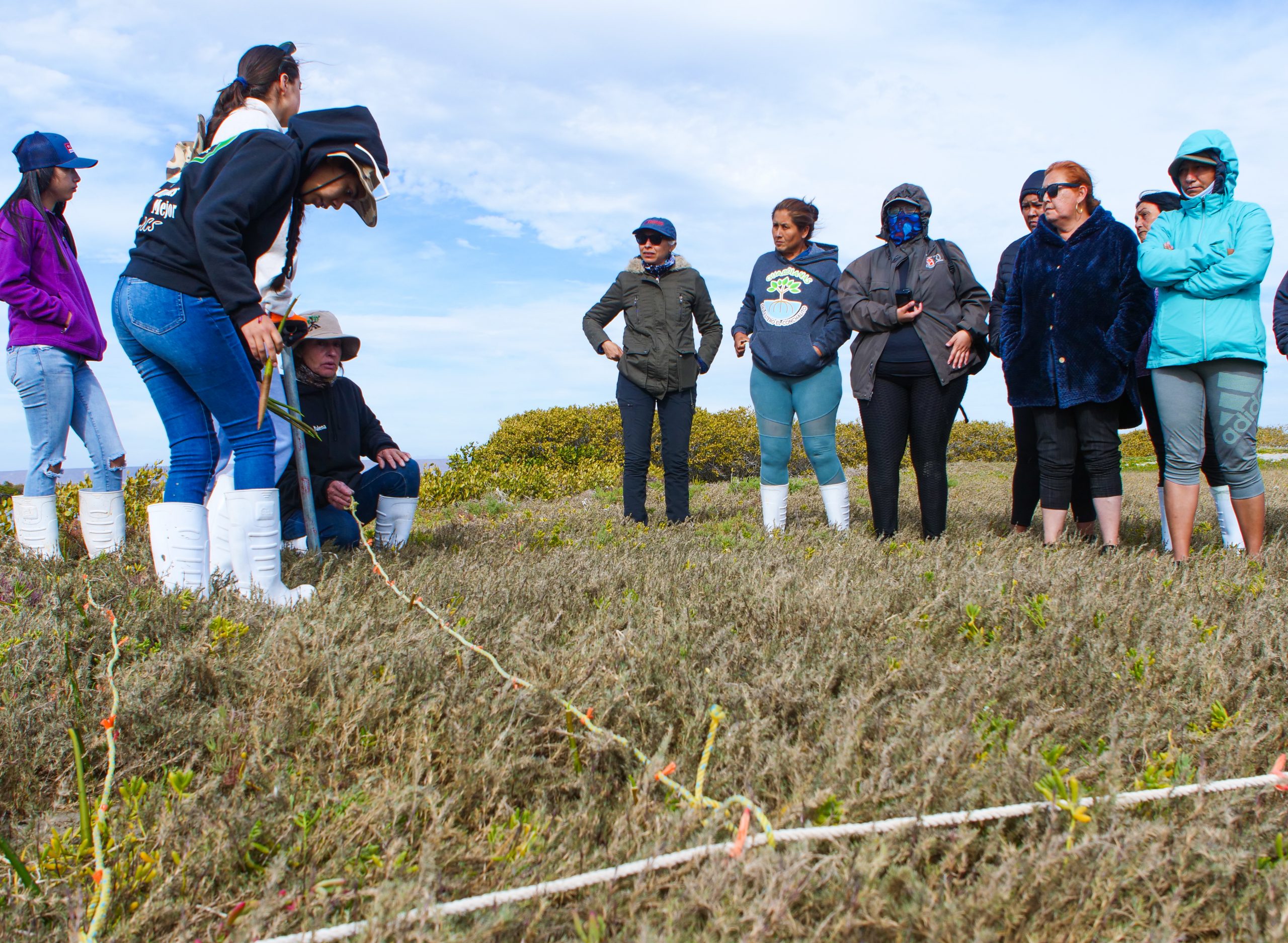 coastal-conservation-coastal-ecosystems-wildcoast