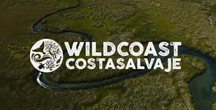 Wildcoast Mangroves Program